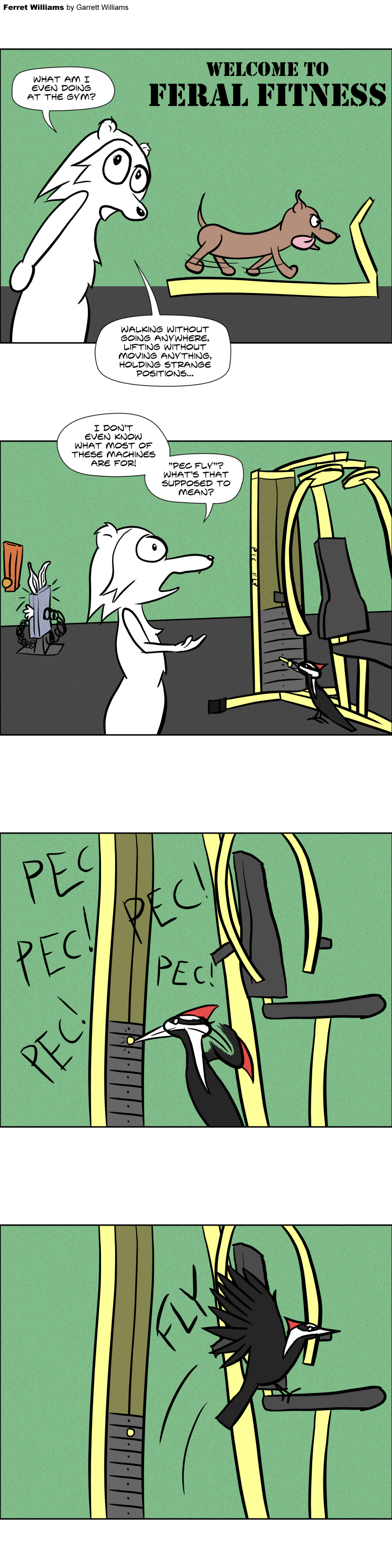 Ferret-exercise-gym-workout